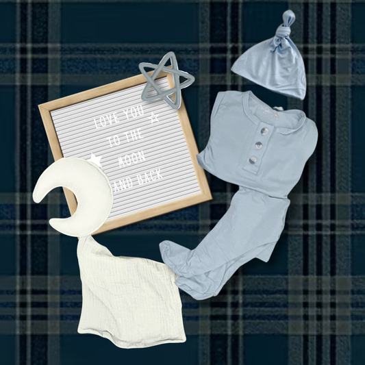 To The Moon And Back